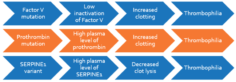 Genetics of thrombophilia due to Factor V Leiden, Factor II prothrombin and SERPINE1 PAI-1