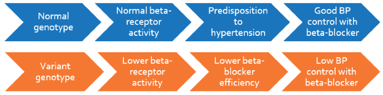 Genetics of Beta-blocker response variation