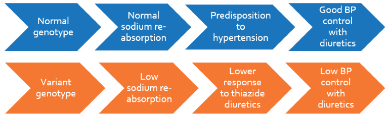 Genetics of hypertension control with thiazide diuretics